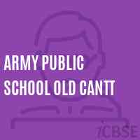 Army Public School Old Cantt Logo