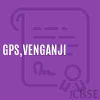 Gps,Venganji Primary School Logo