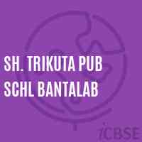 Sh. Trikuta Pub Schl Bantalab Secondary School Logo