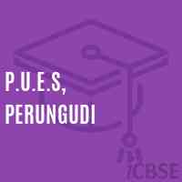 P.U.E.S, Perungudi Primary School Logo