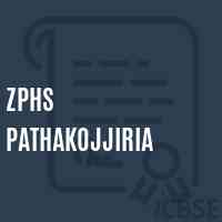 Zphs Pathakojjiria Secondary School Logo