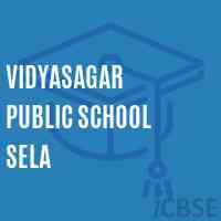 Vidyasagar Public School Sela Logo