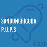 Sandungriguda P.U.P.S Middle School Logo