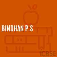 Bindhan P.S Primary School Logo