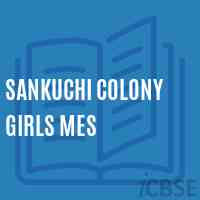 Sankuchi Colony Girls Mes Middle School Logo