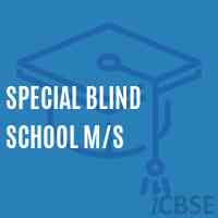 Special Blind School M/s Logo