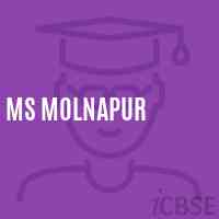 Ms Molnapur Middle School Logo