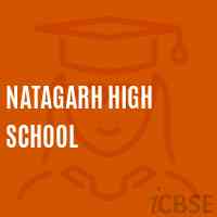 Natagarh High School Logo