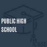 Public High School Logo