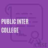 Public Inter College High School Logo
