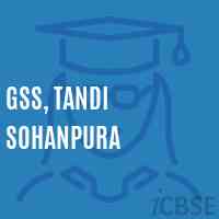 Gss, Tandi Sohanpura Secondary School Logo