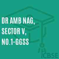 Dr Amb Nag, Sector V, No.1-GGSS Secondary School Logo