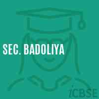 Sec. BADOLIYA Secondary School Logo
