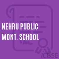 Nehru Public Mont. School Logo