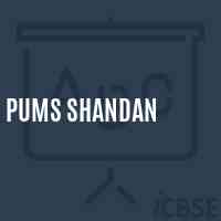 Pums Shandan Middle School Logo