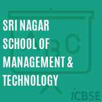 Sri Nagar School of Management & Technology Logo