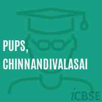 Pups, Chinnandivalasai Primary School Logo