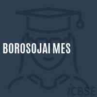 Borosojai Mes Middle School Logo