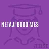 Netaji Bodo Mes Middle School Logo
