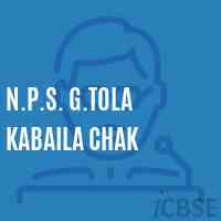N.P.S. G.Tola Kabaila Chak Primary School Logo