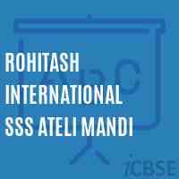 Rohitash International Sss Ateli Mandi Senior Secondary School Logo