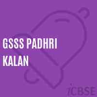 Gsss Padhri Kalan High School Logo