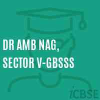 Dr Amb Nag, Sector V-GBSSS High School Logo