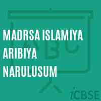 Madrsa Islamiya Aribiya Narulusum Middle School Logo