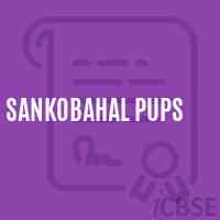 Sankobahal Pups Middle School Logo
