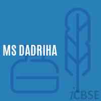Ms Dadriha Middle School Logo