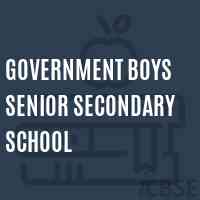 government boys Senior secondary school Logo