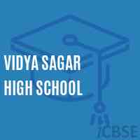 Vidya Sagar High School Logo
