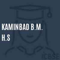 Kaminbad B.M. H.S Secondary School Logo