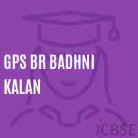 Gps Br Badhni Kalan Primary School Logo