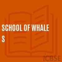 School of Whale S Logo