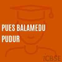 Pues Balamedu Pudur Primary School Logo