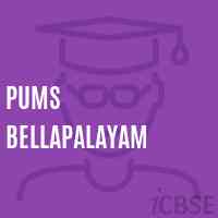 Pums Bellapalayam Middle School Logo