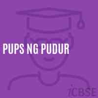Pups Ng Pudur Primary School Logo