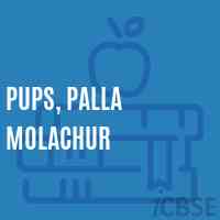 PUPS, Palla Molachur Primary School Logo