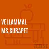 Vellammal Ms,Surapet Senior Secondary School Logo