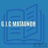 G.I.C.Mataundh High School Logo