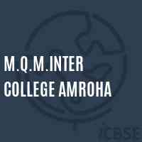 M.Q.M.Inter College Amroha High School Logo