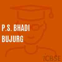 P.S. Bhadi Bujurg Primary School Logo