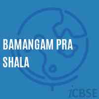 Bamangam Pra Shala Middle School Logo