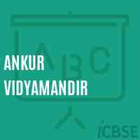 Ankur Vidyamandir Middle School Logo
