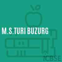 M.S.Turi Buzurg Middle School Logo
